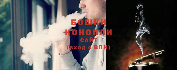 ПСИЛОЦИБИНОВЫЕ ГРИБЫ Заводоуковск