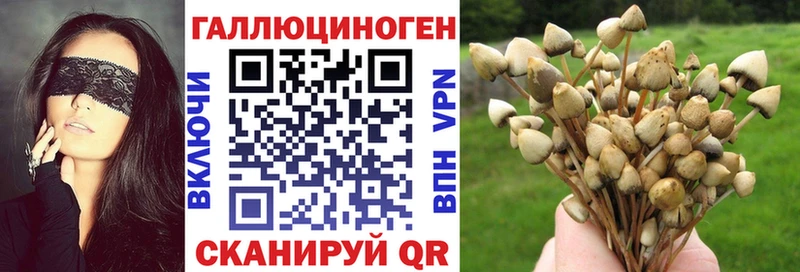 Галлюциногенные грибы Psilocybine cubensis  Сурск 